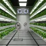 pre-engineered steel grow houses